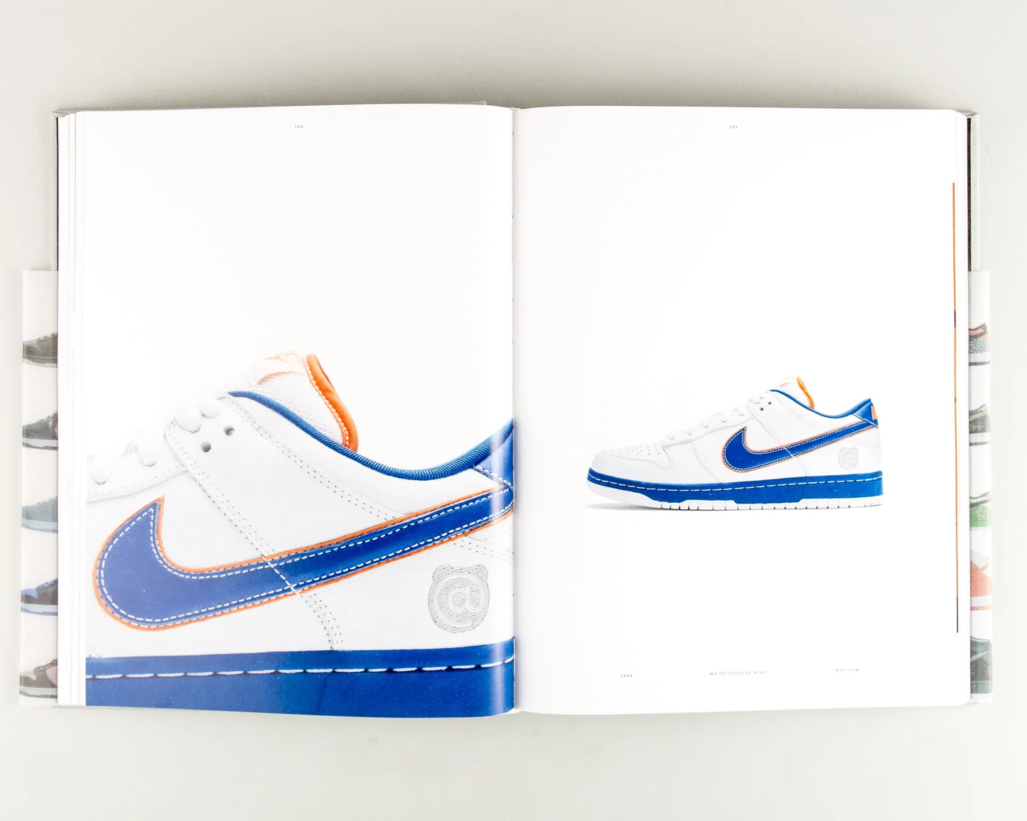 Rizzoli Nike SB - The Dunk Book